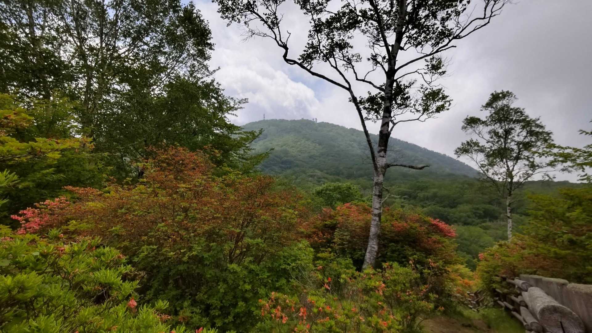 先々週登った地蔵岳が見えました♪今日は山頂は曇りがち？