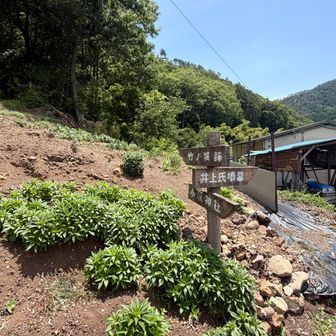 正規の登山口(下山口)はここですが駐車場は無い