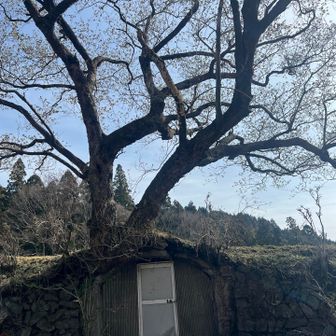 これ避難小屋？