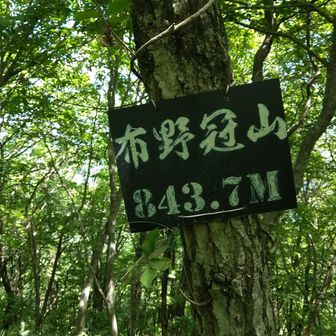布野冠山登頂！
山を回り込んでいる林道からの比高は70〜90mですが、どこから登るにしても山頂への道は無さそうです。北側からの登りは傾斜も緩く、藪も薄かったので、登りやすかったです😗🎶
