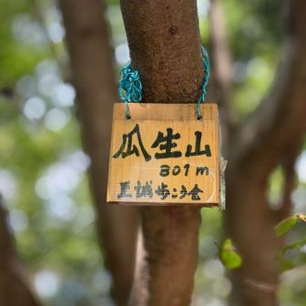 暑いなぁ…