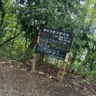 ゆっくり登って来ました♪
