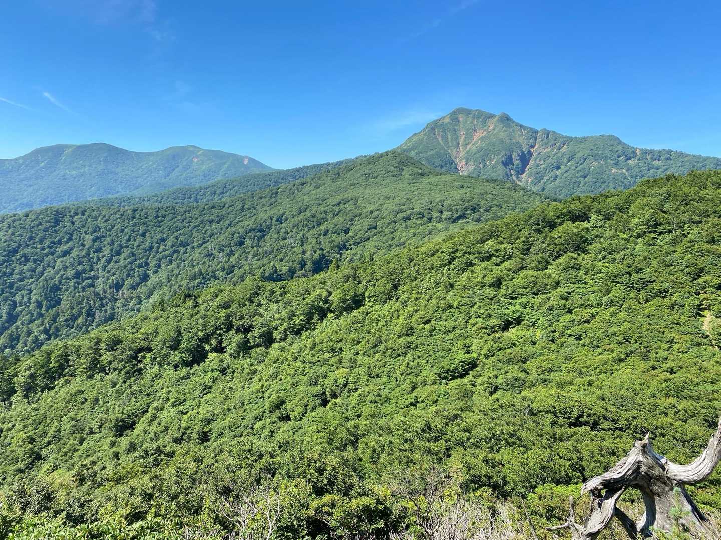 猿ヶ鼻-甲子峠-大白森山-甲子山 往復コースの写真