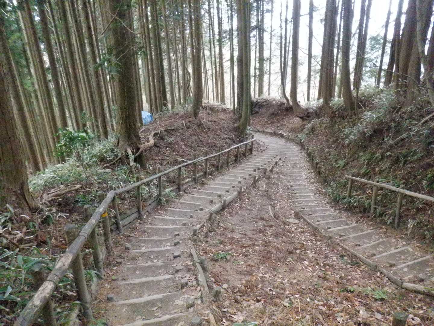 長い千早本道の階段を下る最中に、もう一つの“忘れ物”も思い出しました!!!

えっ!? まだ忘れ物があるのか､､､ですって???

…それは次回の講釈（ https://yamap.com/activities/36998477 ）で｡｡｡