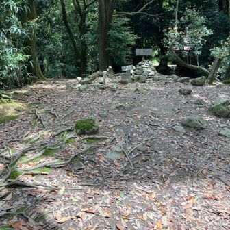 大城山（おおきやま）
久しぶりです