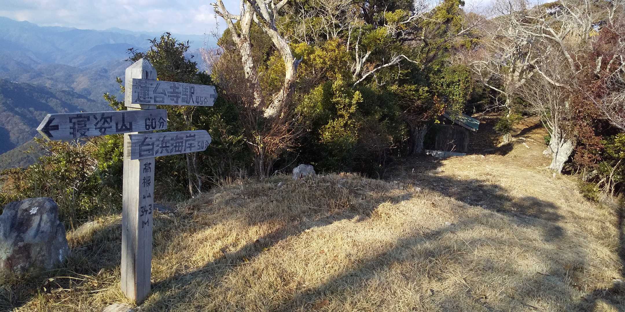 高根山（静岡県下田市）の最新登山情報 / 人気の登山ルート、写真