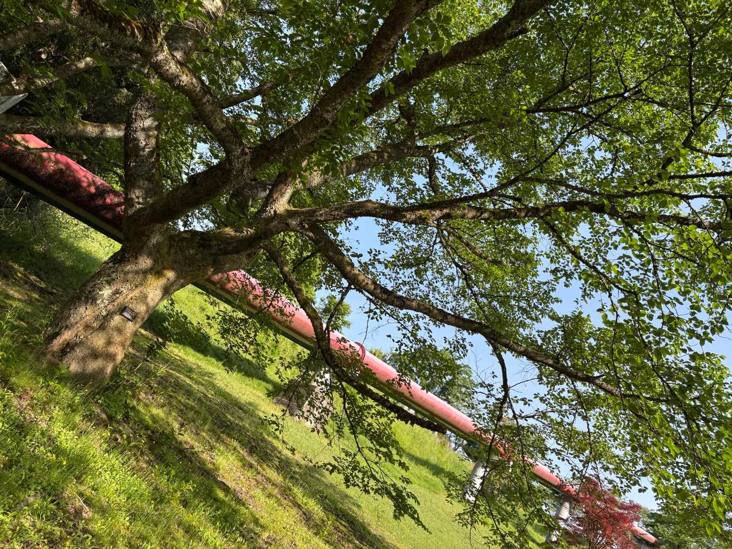 水道つつじ公園だけに　
太い水道菅が　いっぱいだ〜🈵😆