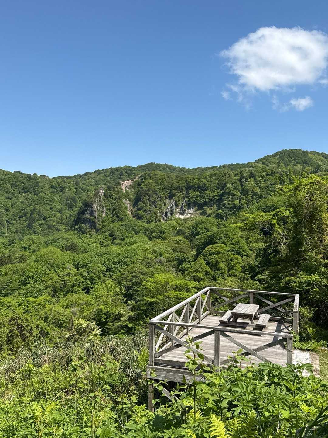 休憩のベンチがたくさんあります♪
いい天気だ☀️
でもゆっくりしていられない💦