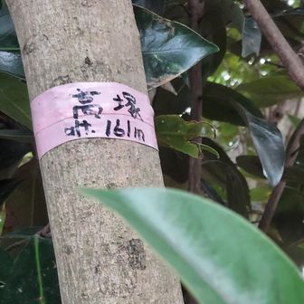 高塚山の表示161m
