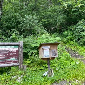 登り口は秋山郷の先なのですね💡
様々な県ナンバー🚙