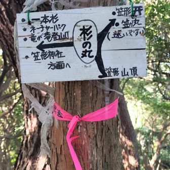 「杉の丸」と呼ばれるポイントらしい