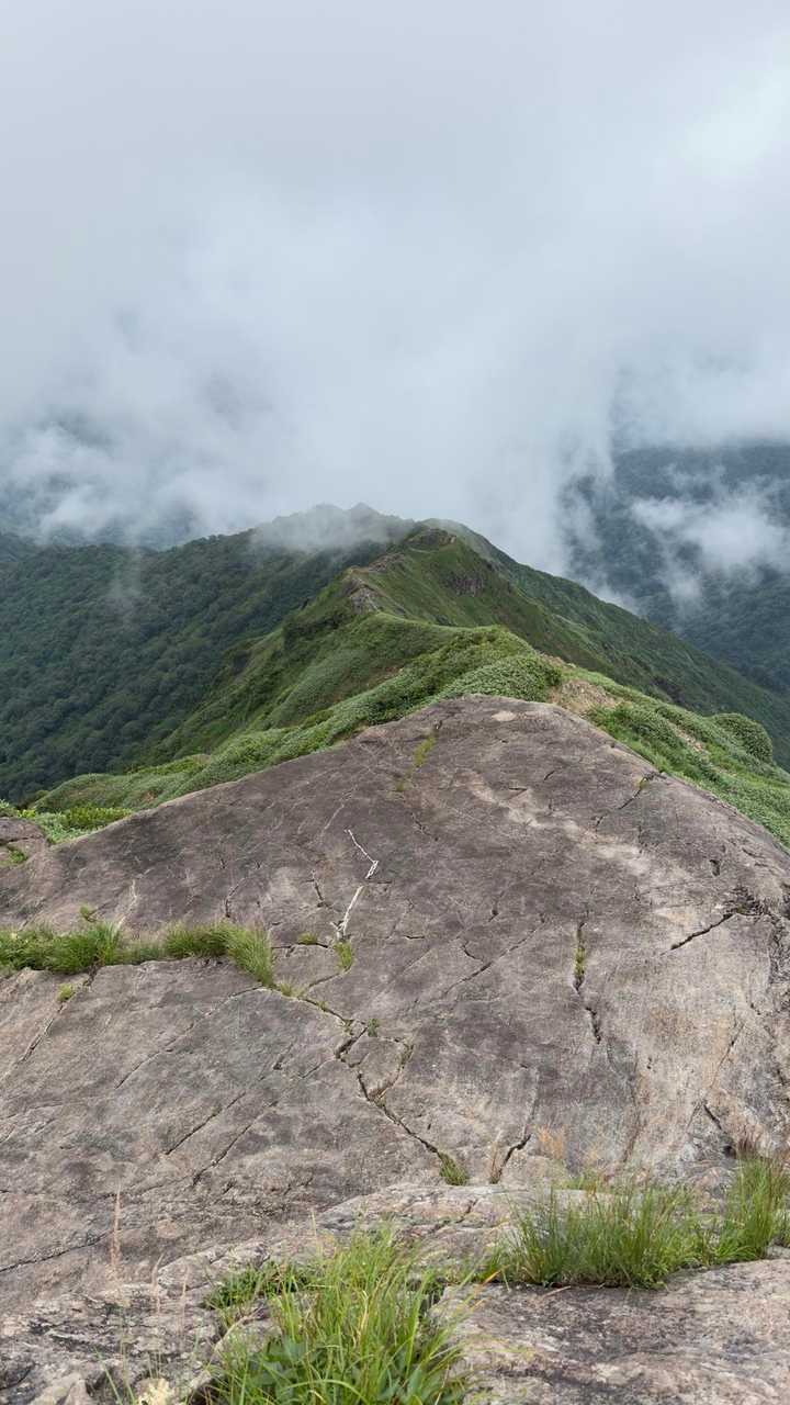 谷川岳（トマの耳・オキノ耳） via 西黒尾根 の写真 16