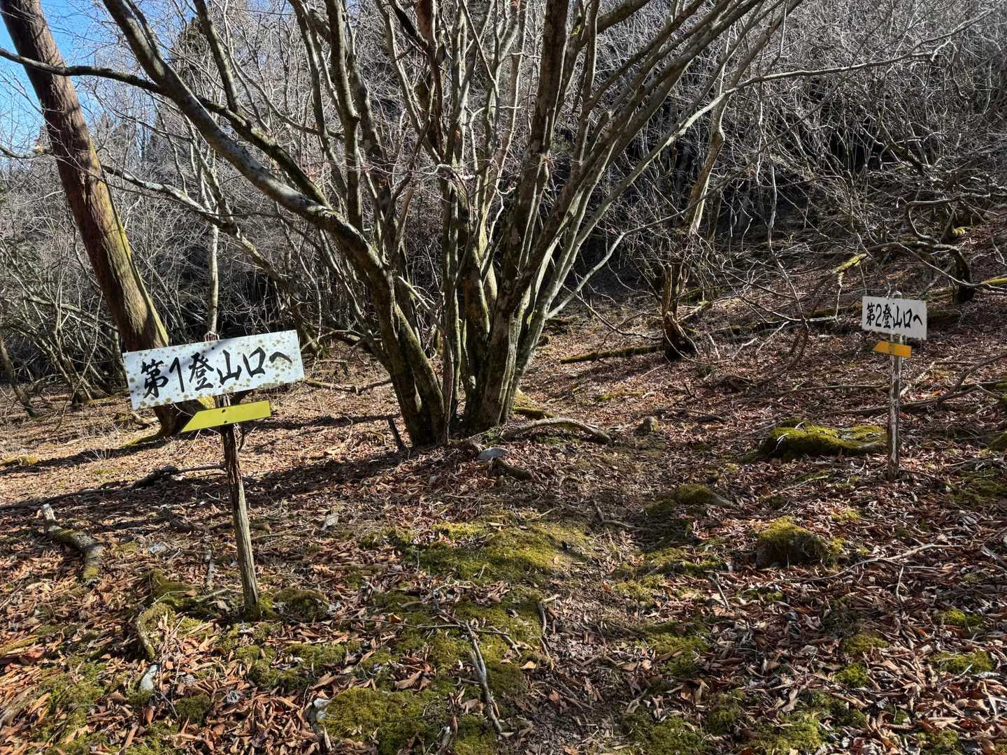 第１登山口と第2登山口の分岐
