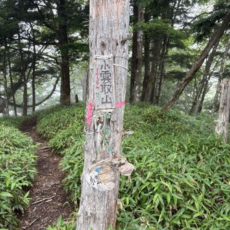 小雲取山！
下の山名板はくまさん？