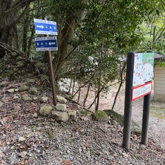 中尾根と
庵座（あんざ）の分岐
駐車場のおっちゃんのおすすめで庵座谷から▶️

登ってから思ったのは中尾根の岩岩も気になった