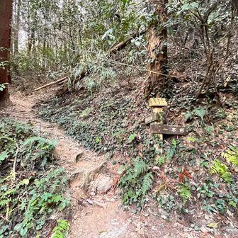 修験坊へ周回します