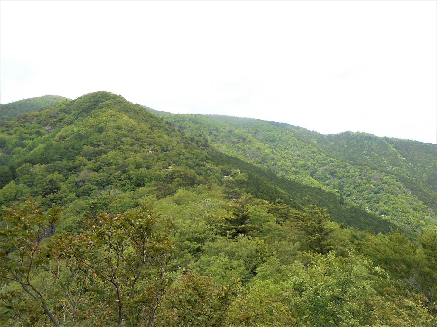 そんな中たまたま後ろを振り返ると、なんと山頂が(°Д°)
マジかぁ😰
休憩時間を割いたのが失敗だったぁ～💧