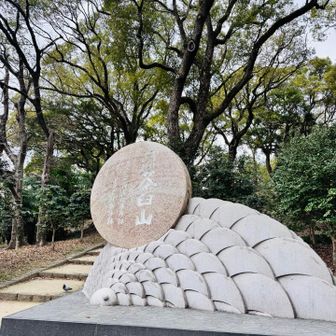 そろそろやりたい案件のひとつ、街道歩きのスタートが大阪市中央区😓
都会苦手やけど早くスタートさせなくては🙄2026年登り始めがまさかの大都会でグレーピーク🩶
でも戦国時代と古墳時代のゆかりの地でなかなか面白いスタートになりました😆
いい年になりそうや😁