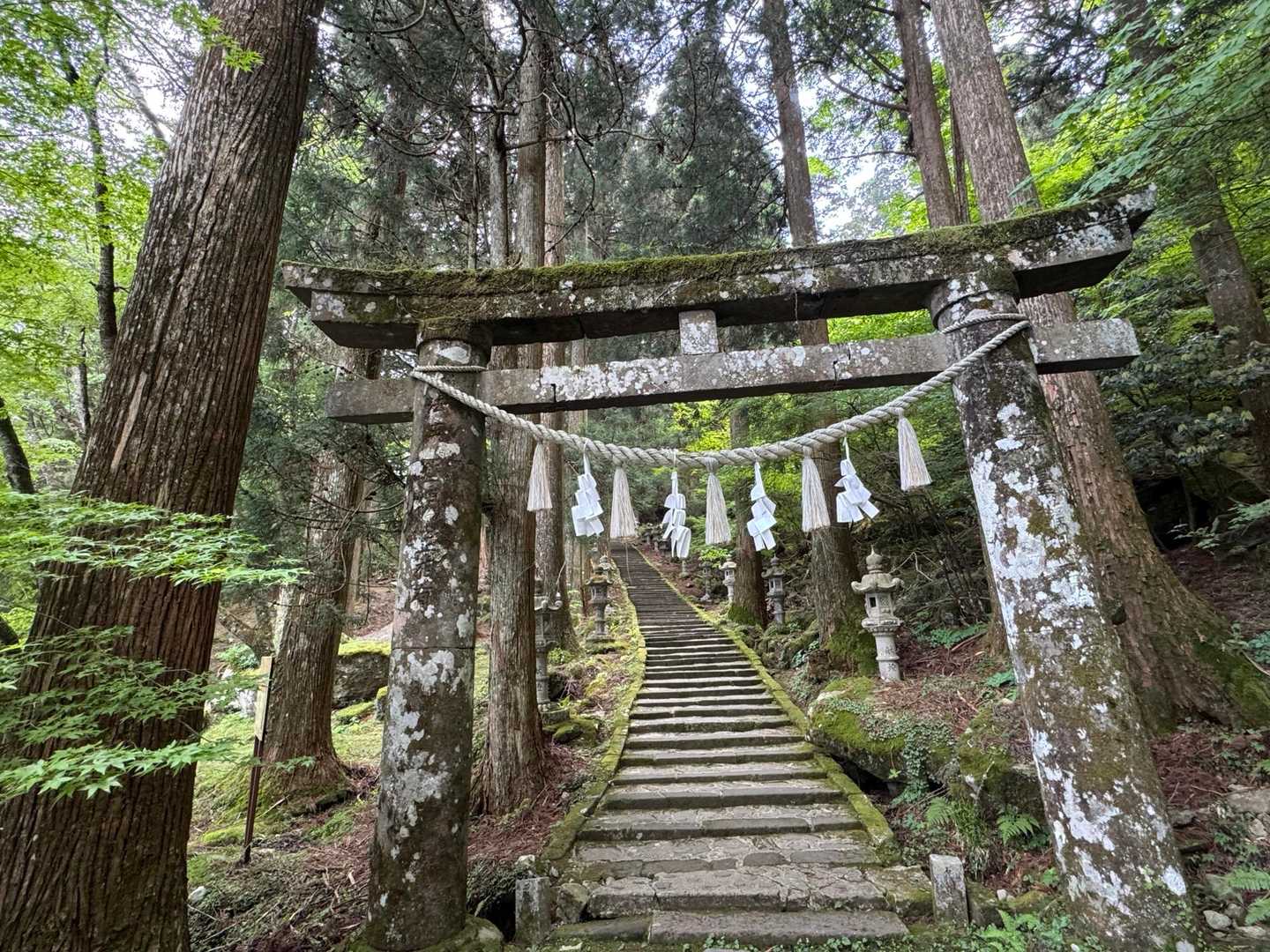別所登山口-奉幣殿-英彦山-英彦山-豊前坊登山口 周回コースの写真