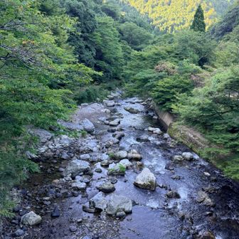 お久しぶりの愛宕山へ😊