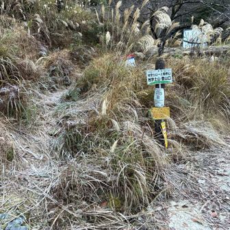 登山口なのですがここから尾根までがなかなかわかりにくいトラバース道だった。