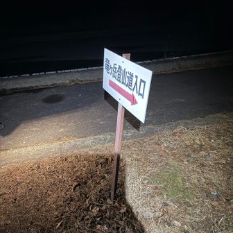 竜ヶ岳アタック開始。