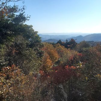 【茶臼山ピーク】
福ちゃんはここをもう通過しちゃったかな？
来る人来る人に黄色いお兄さん会いましたか？って聞くこと数十分😚