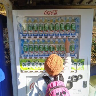 恒例の狭山茶選び