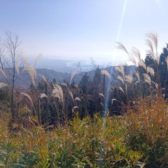 下界はずっと霞み気味