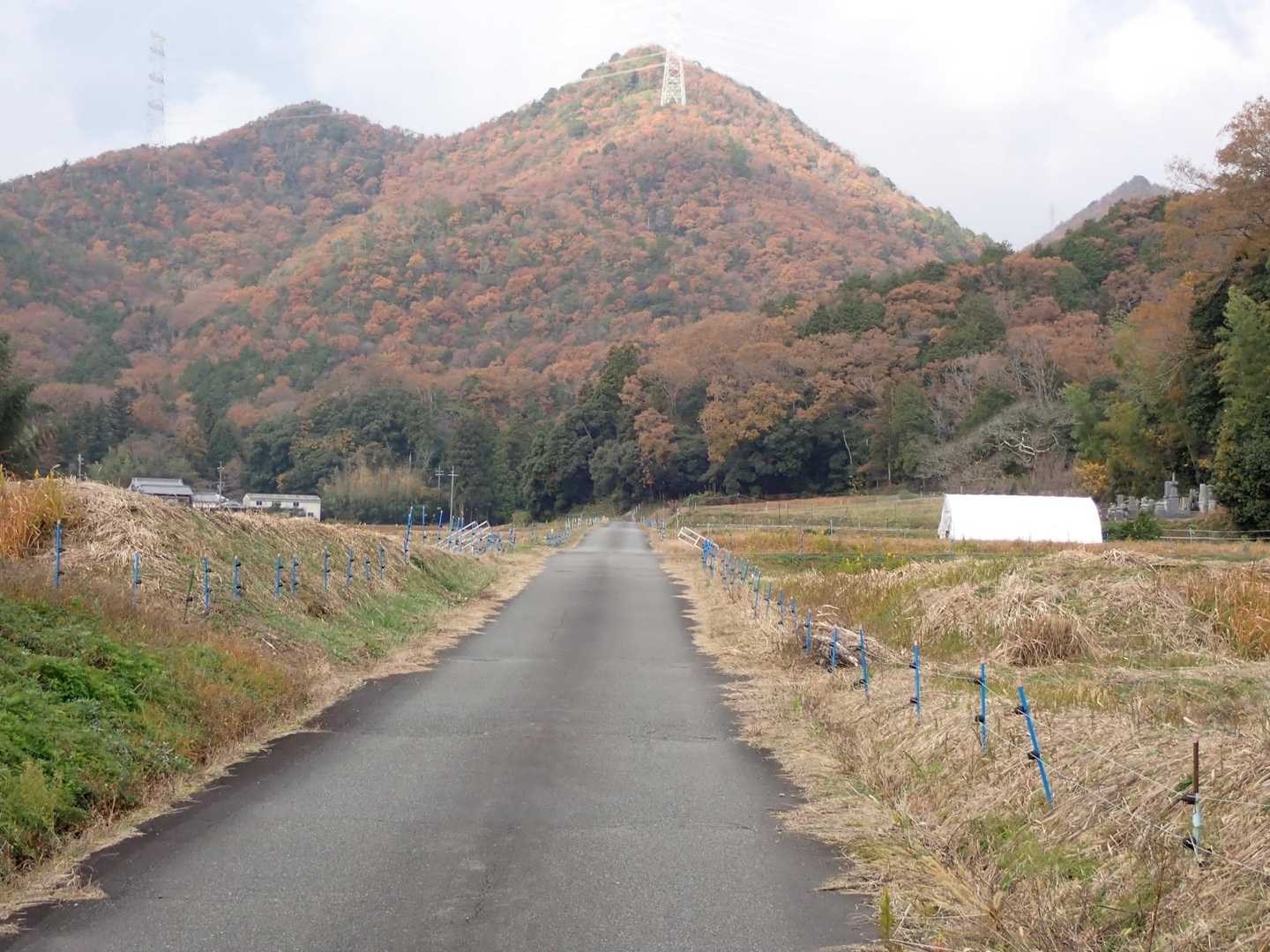 まっすぐ