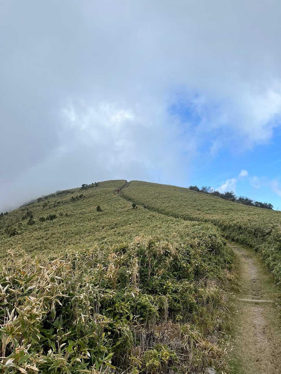 戸田峠-小達磨山-達磨山-古稀山-伽藍山 往復コースの写真