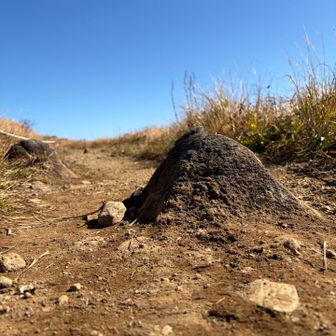 栗駒山にもピラミッドが🐪
もう始まっちゃってるんだよね😎