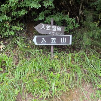 登山口にら戻ってきました
