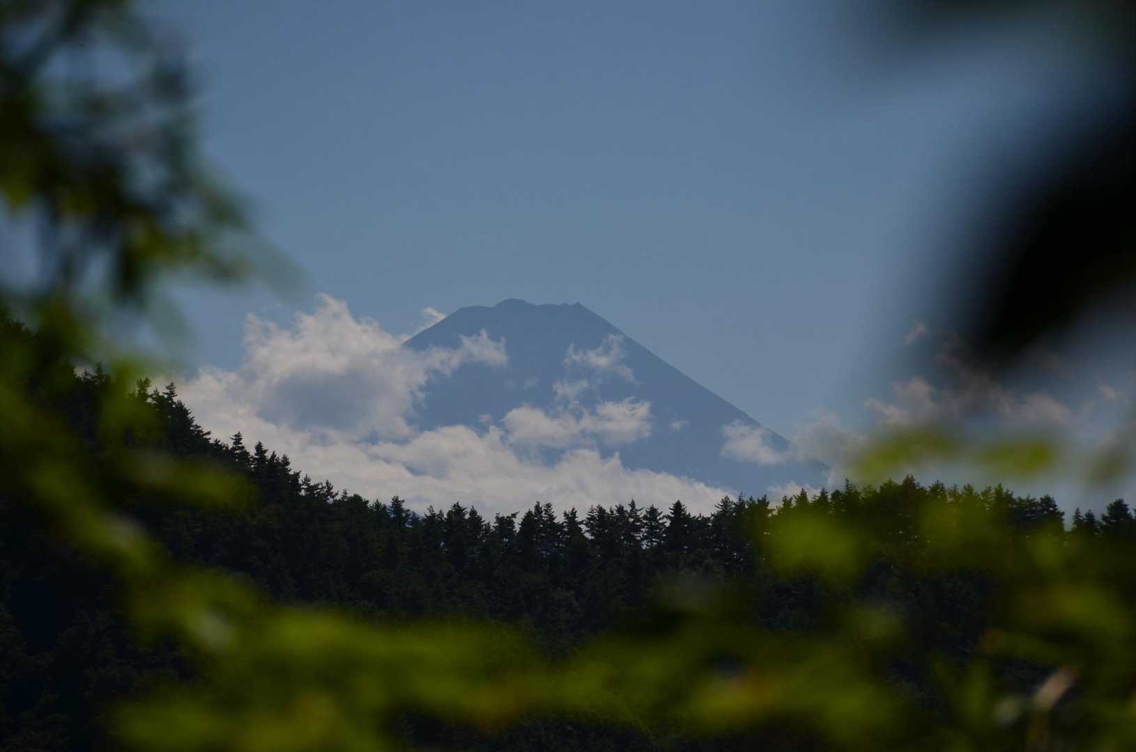 富士山見えたけれど😭