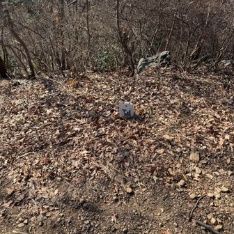 電波三もなかったよー🤣