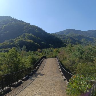 万里の長城！っぽい！
かっこいい…けど距離は短い😅
知るべ岩で下車してすぐ。
ガードレールの隙間から登山道へ。