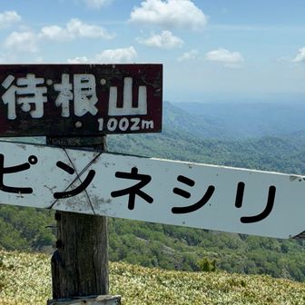 待根山⛰️
トウチョウ〜