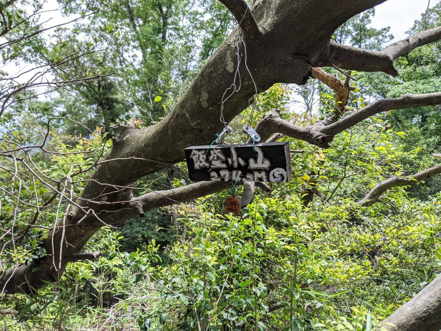 飯盛小山の写真