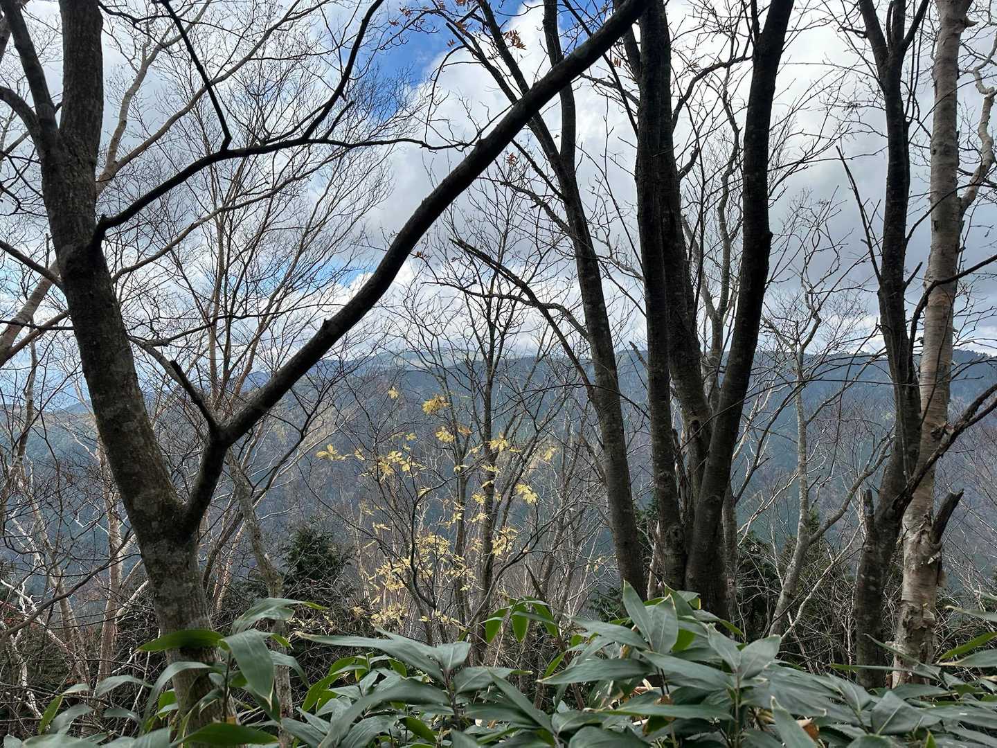 下山から１時間経過　快晴へ！爆笑🤣
山あるある！