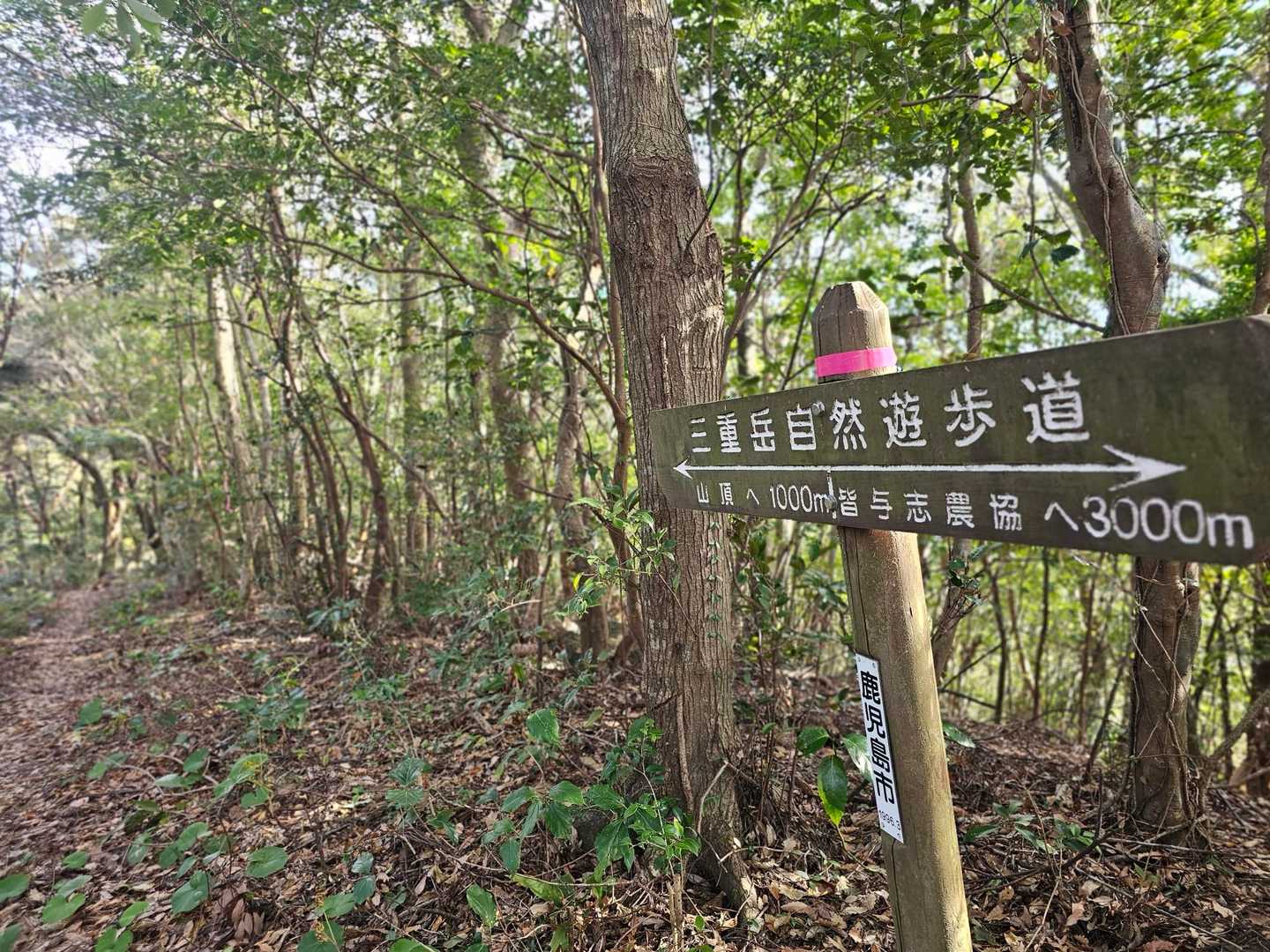 三重嶽山頂まで、1000m