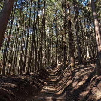 生かさず殺さずの絶妙な傾斜