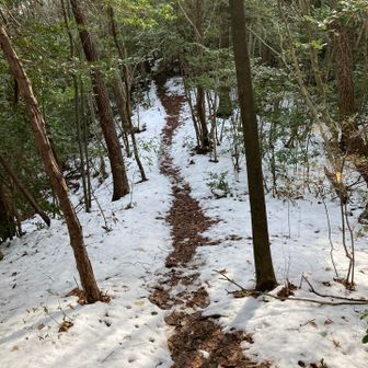 楽しいね〜❄️