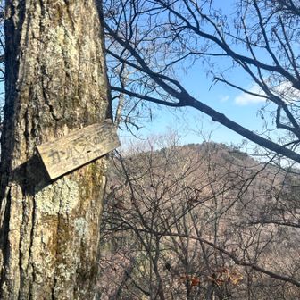 カンバ沢の頭❣️