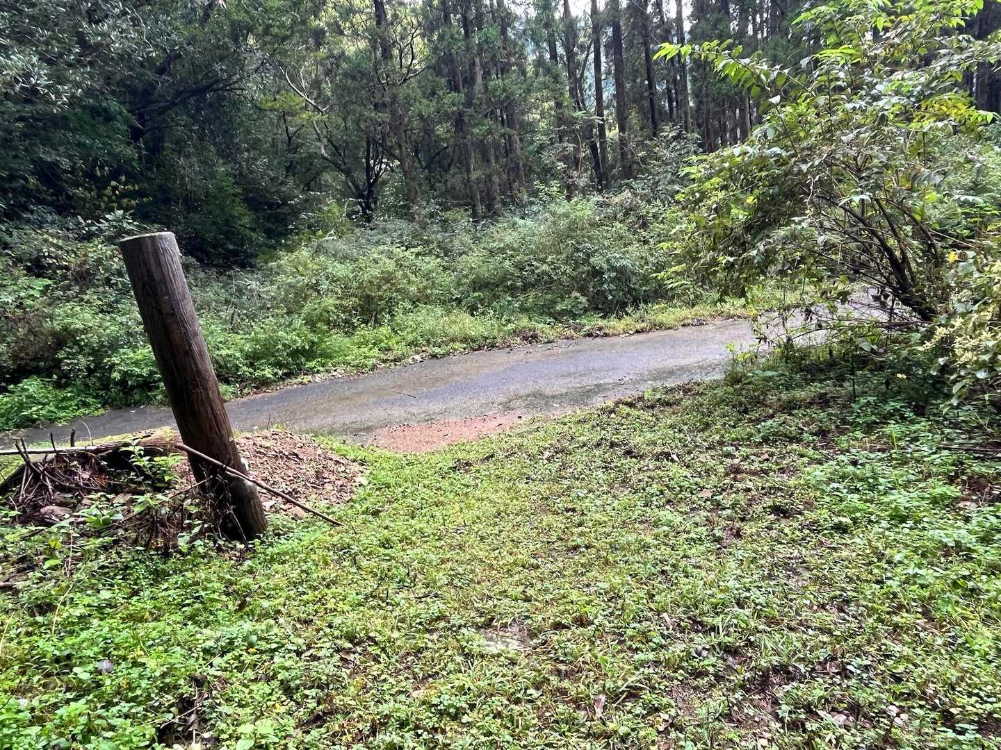 さらに舗装道、この舗装道は要注意⚠️
めちゃめちゃ滑ります😖