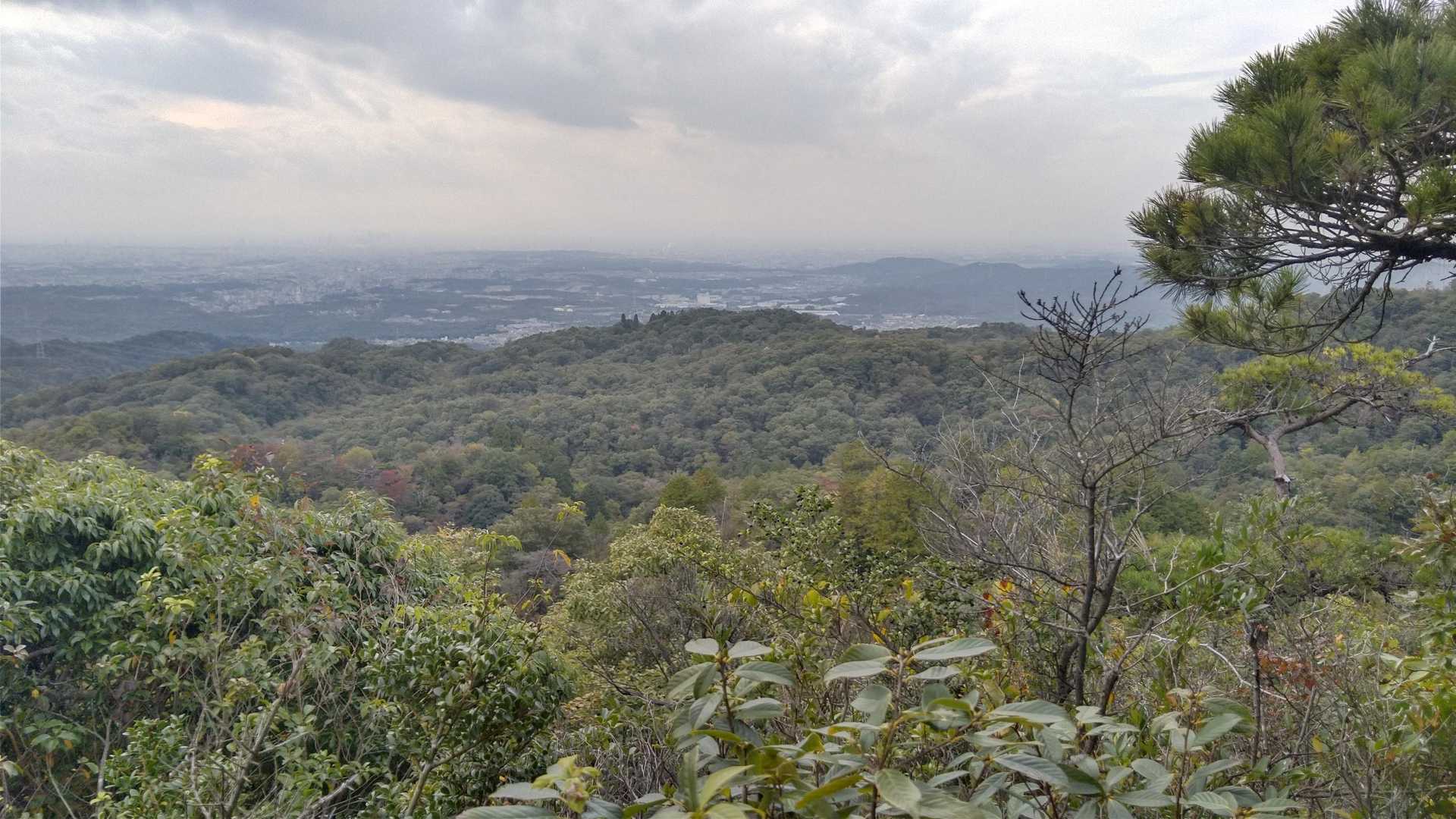 元岩巣山 往復コースの写真