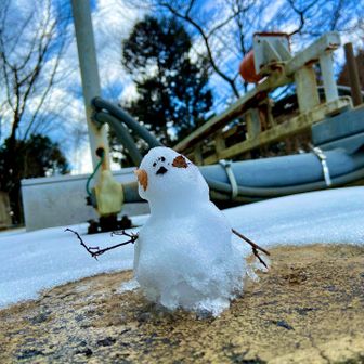 可愛らしい雪だるまが2体⛄️
何とか溶けずに頑張ってました♪