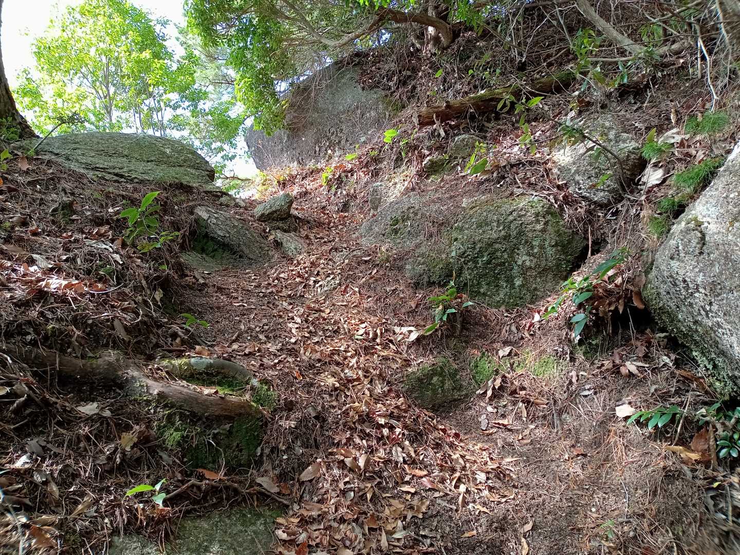 石畳ふれあい広場バス停-取付-高根山-折平山 周回コースの写真
