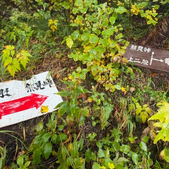 竜神の池には寄らず 熊見峠へ🐻️