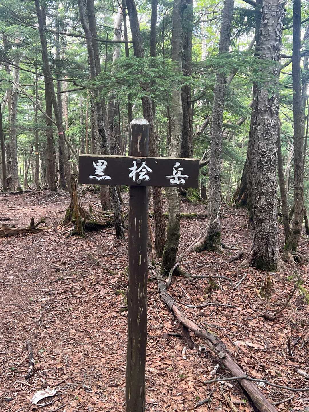 千手ヶ浜バス停-黒槍岳登山口-黒檜岳 往復コースの写真