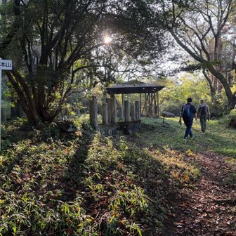 根本山は前回（2022年）も来たなぁ。